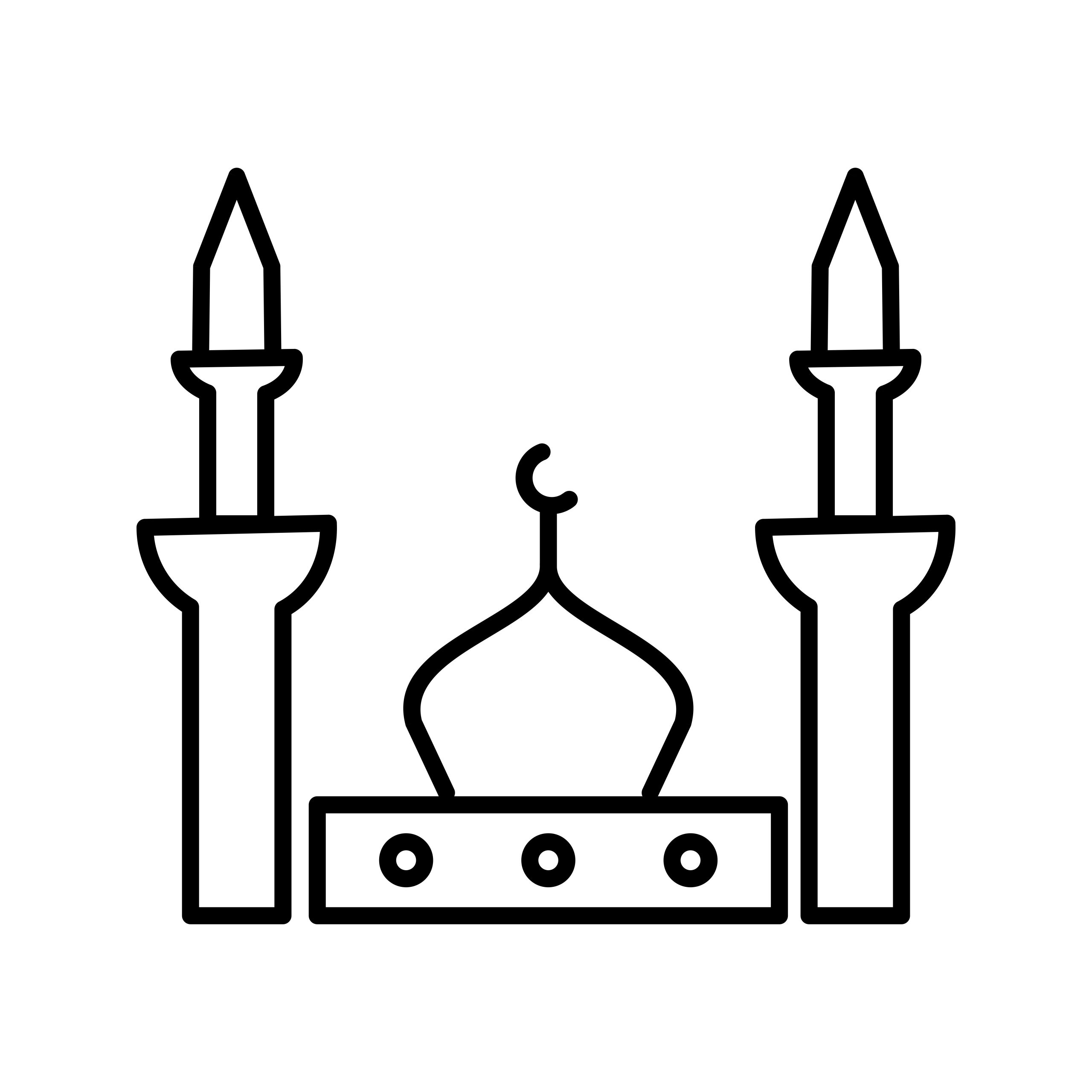 Prophet mosque Beautiful Line Black Icon